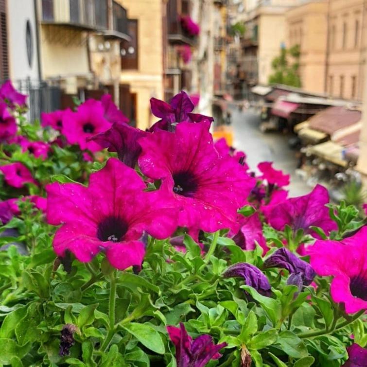 Il Rosone Luxury B&B パレルモ エクステリア 写真